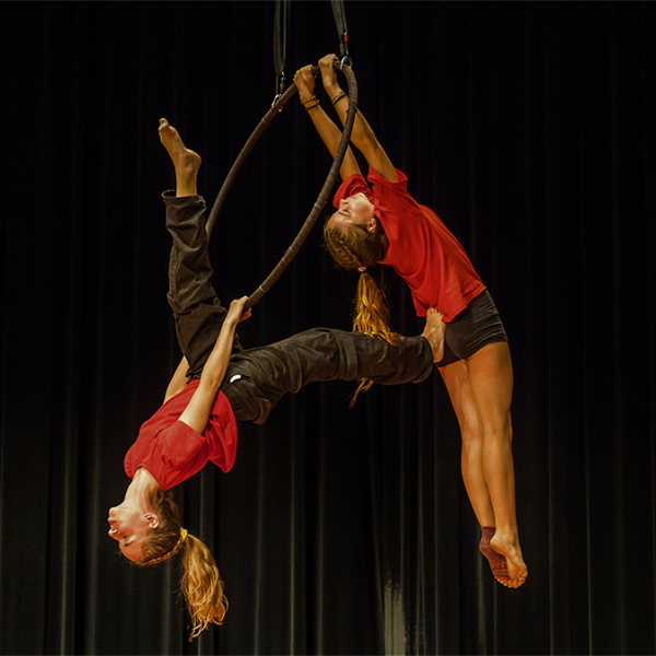 Photo du spectacle Fe So4