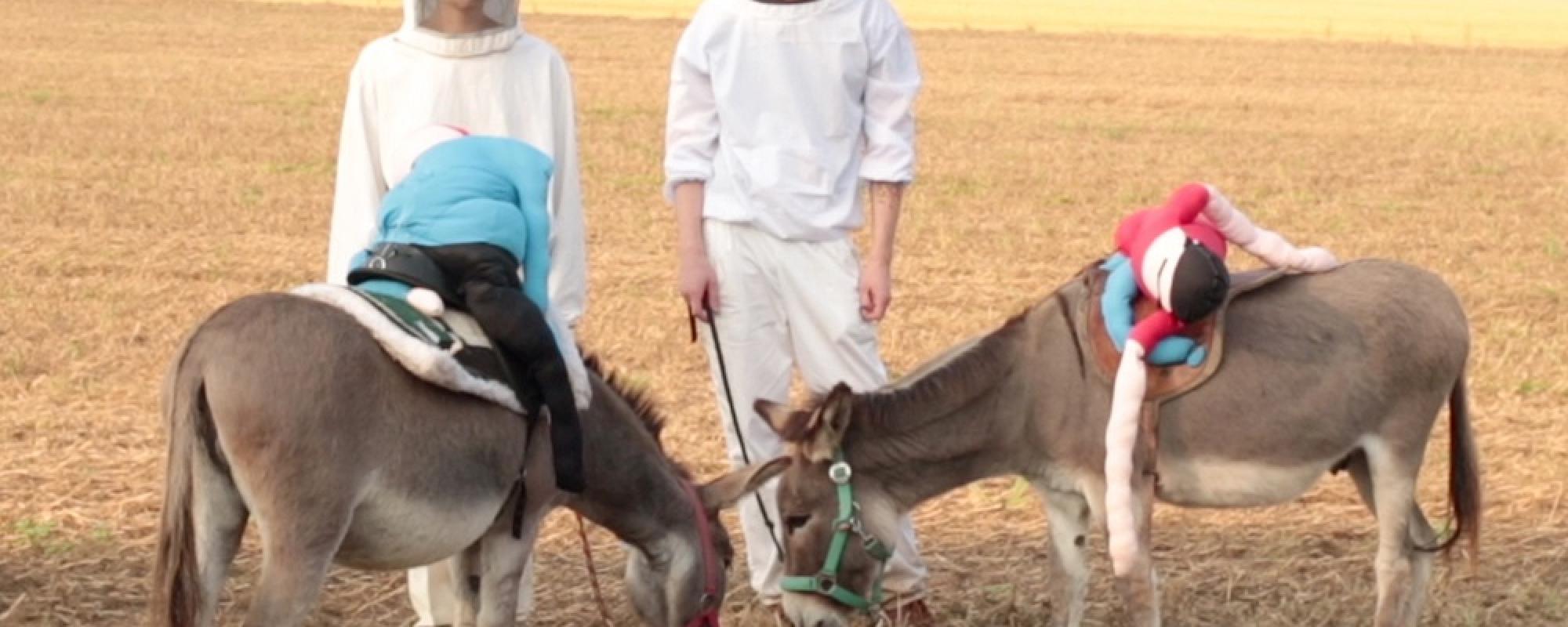 Les Trucs - Visuel 1