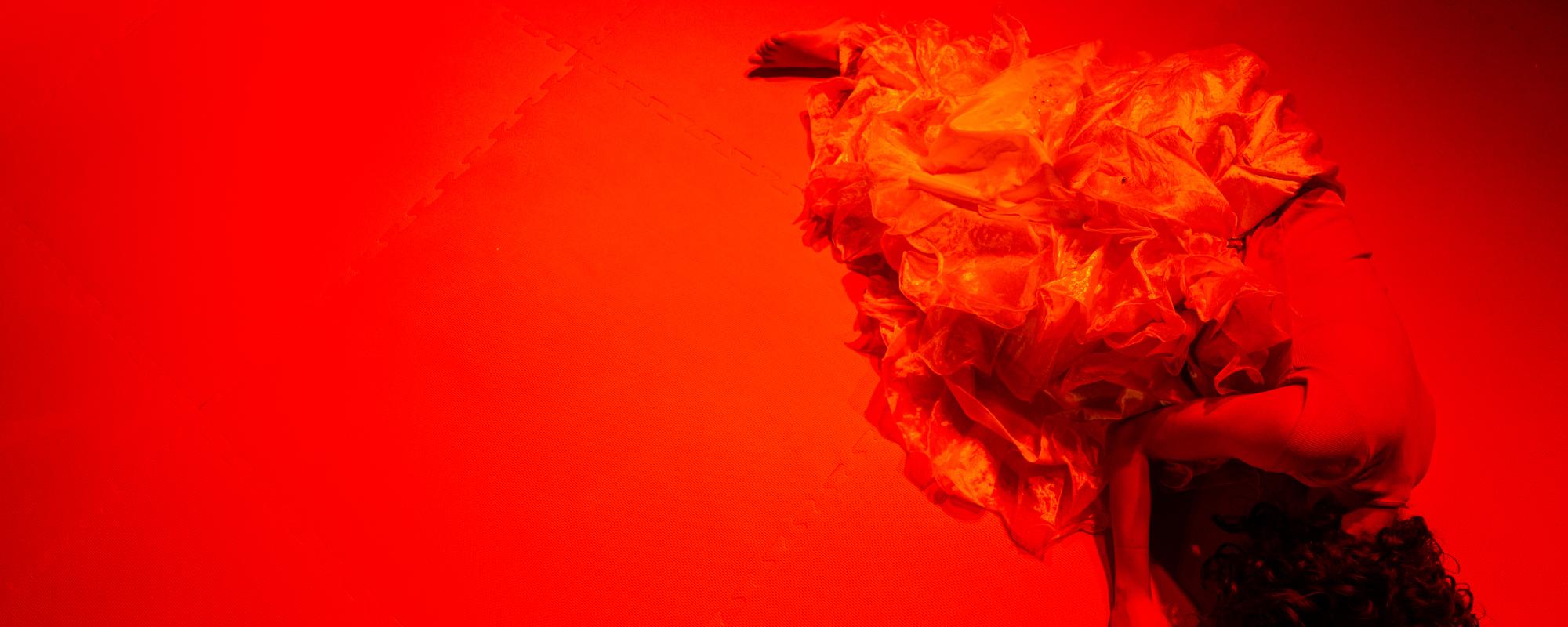 Image du spectacle SORO !