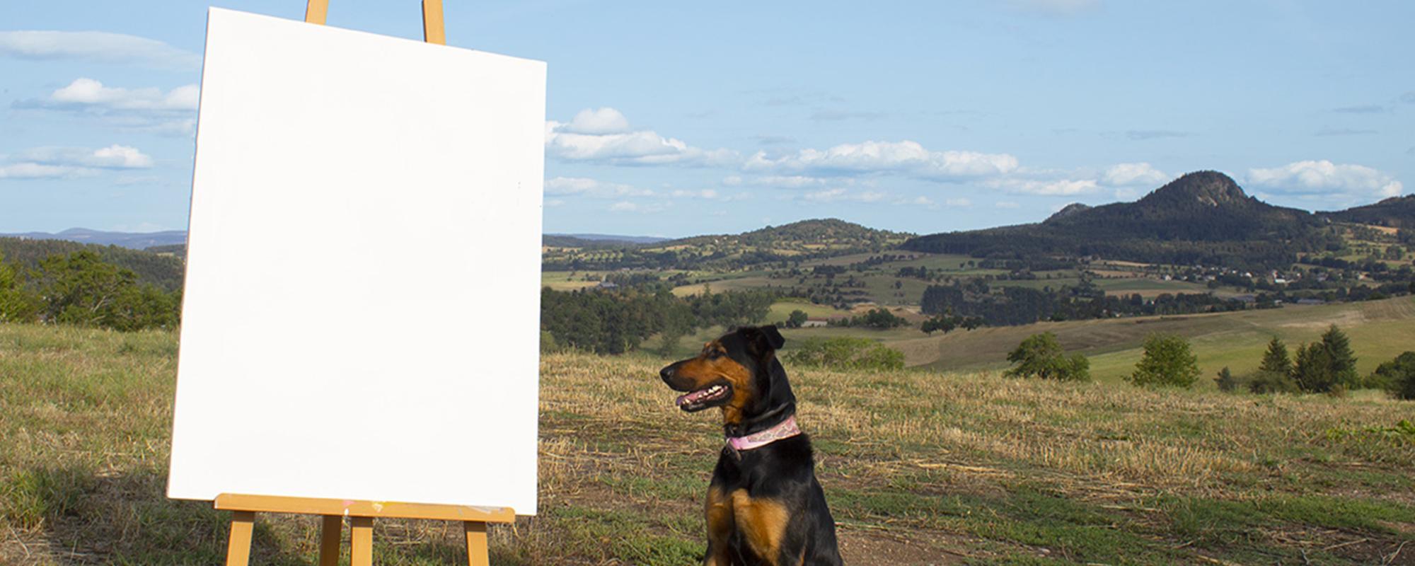 Photo du spectacle Promenade avec Cola
