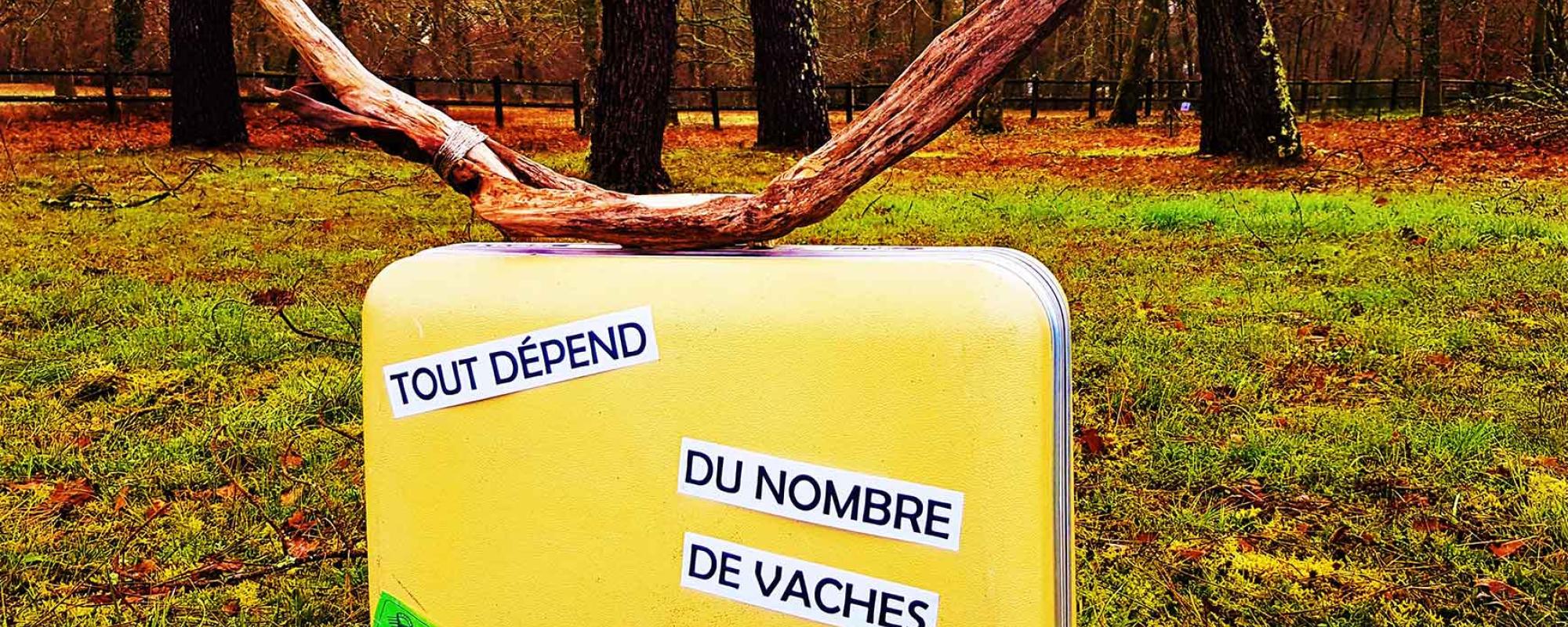 Visuel Cie Uz et Coutumes - Hadi Boudechiche