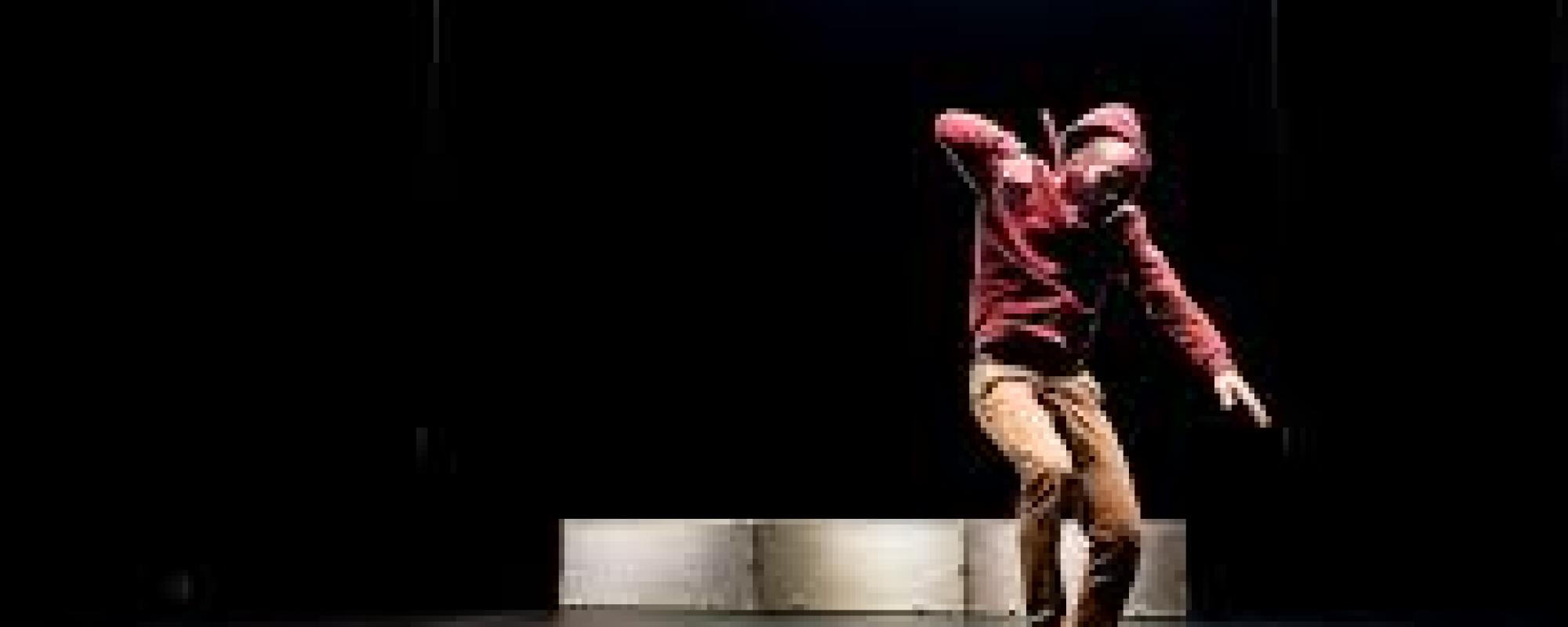 Visuel Pulse / Crédit Aude Arago