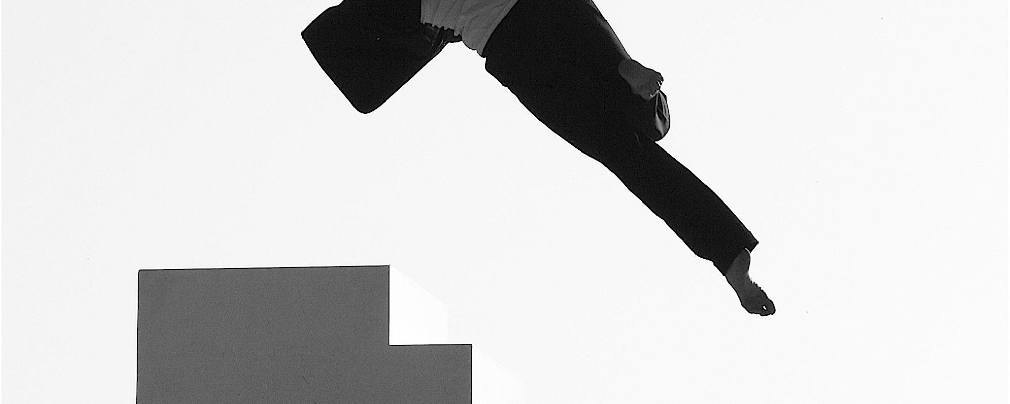 Visuel Spectacle Fugue / Trampoline