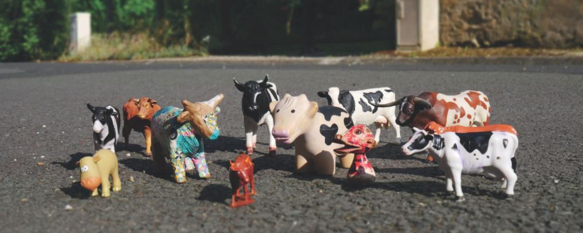 Tout dépend du nombre de vaches (c) Céren Brégeon