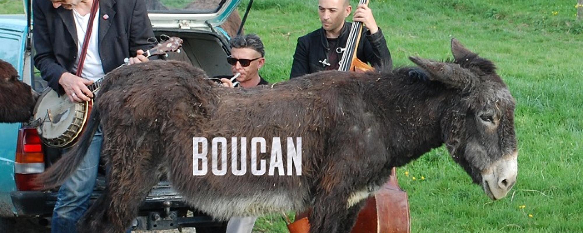 Boucan © Poil DR