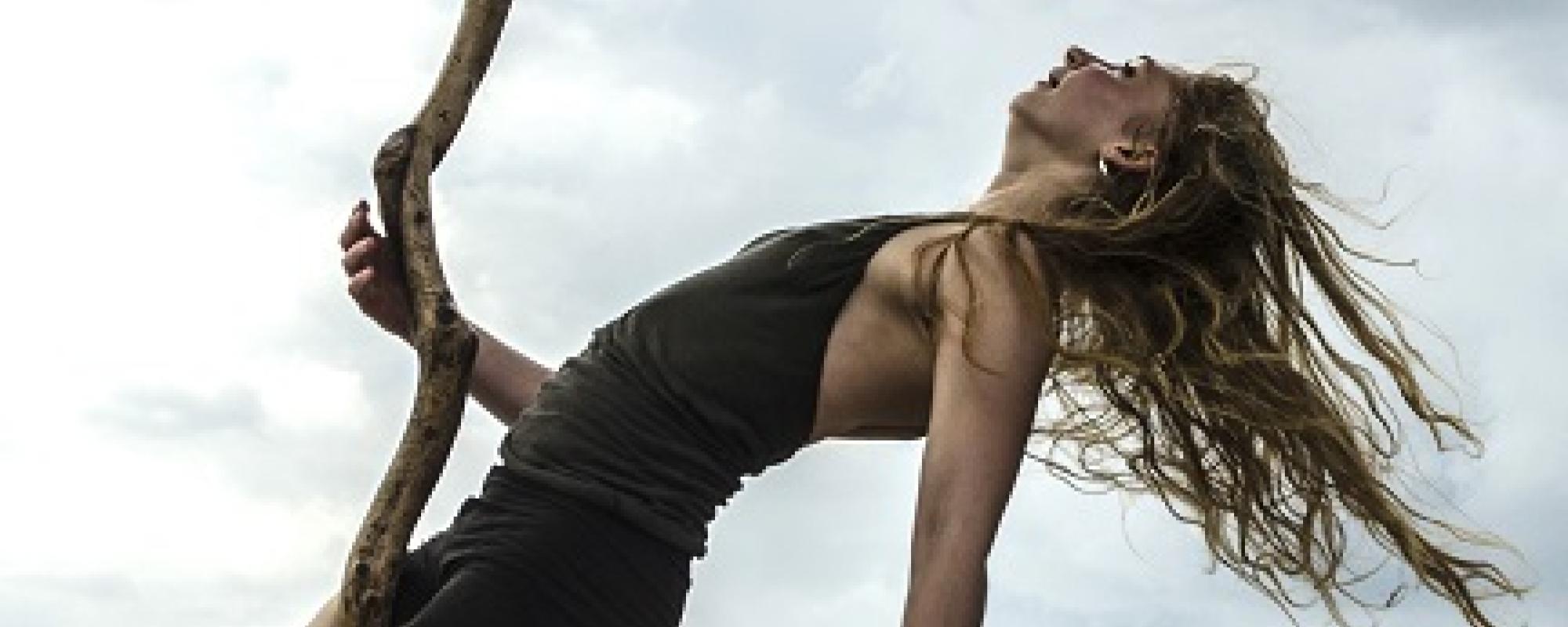 Visuel Hêtre / Crédit M.B